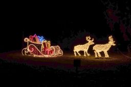 christmas garden 8505.jpg