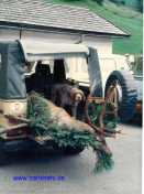 Hunde