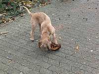 Gerda 01.11.2012