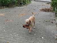 Gerda 01.11.2012