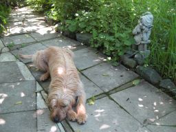Gerda 06.06.2014