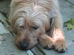 Gerda 06.06.2014