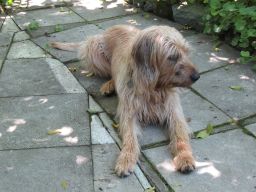 Gerda 06.06.2014