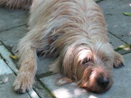Gerda 06.06.2014
