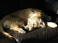 Gerda 06.11.2012