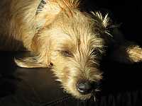 Gerda 06.11.2012