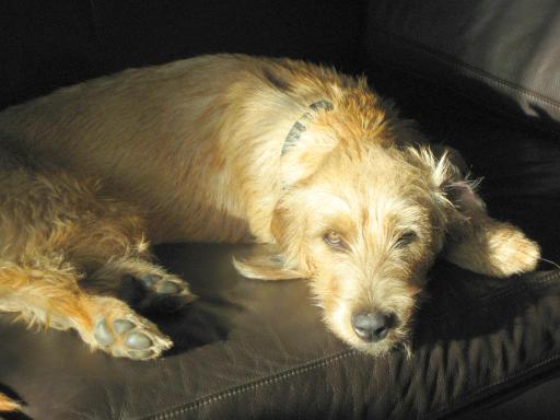 Gerda 06.11.2012