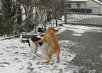 Gerda 12.01.2013