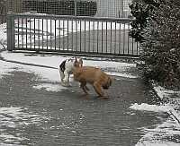 Gerda 12.01.2013