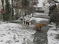Gerda 12.01.2013