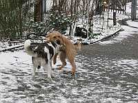 Gerda 12.01.2013