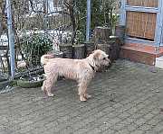Gerda 15.03.2013