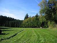 Gerda im Revier 17.10.2012