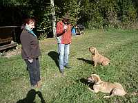 Caty und Gerda im Revier 18.10.2012