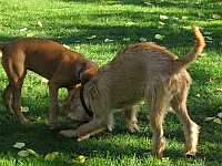 Gerda und Betty 20.10.2012
