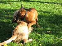 Gerda und Betty 20.10.2012