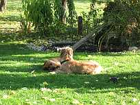 Gerda und Betty 20.10.2012