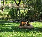 Gerda und Betty 20.10.2012