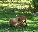 Gerda und Betty 20.10.2012