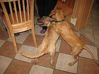 Gerda und Betty 20.10.2012