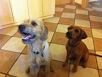 Gerda und Betty 20.10.2012