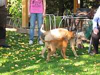 Gerda und Betty 20.10.2012