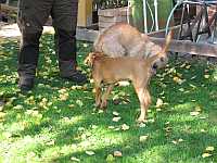 Gerda und Betty 20.10.2012