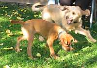 Gerda und Betty 20.10.2012