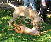 Gerda und Betty 20.10.2012