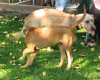 Gerda und Betty 20.10.2012