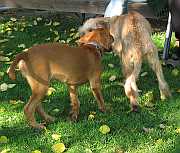 Gerda und Betty 20.10.2012