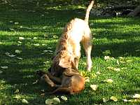Gerda und Betty 20.10.2012