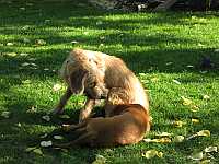 Gerda und Betty 20.10.2012