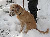 Gerda 12.12.2012