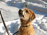 Gerda 12.12.2012