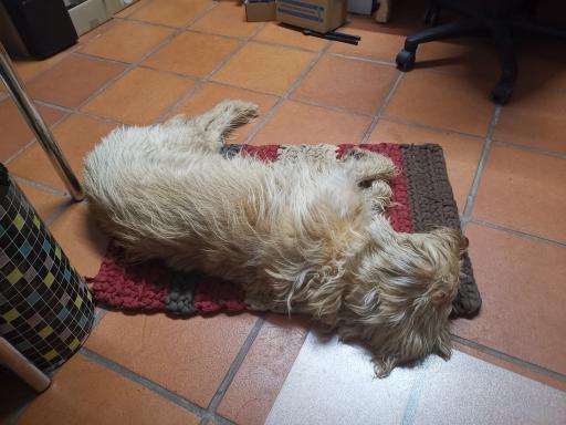 gerda
