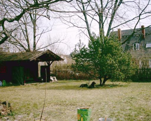 garten 2003