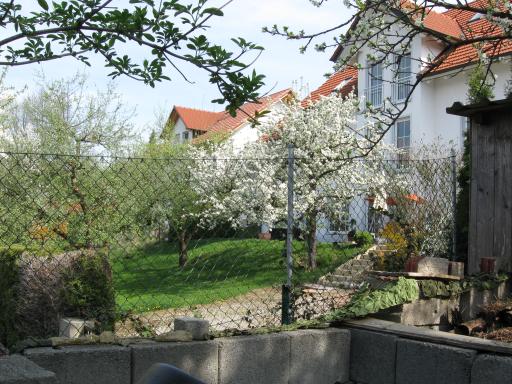 garten 2009