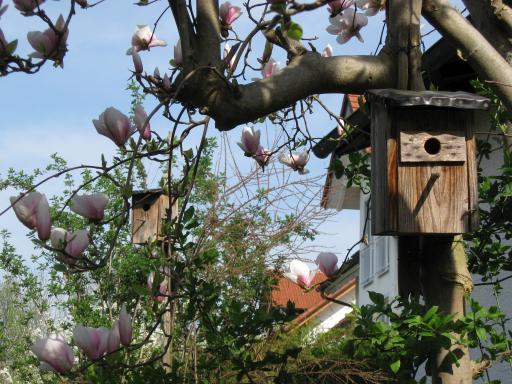 garten 2009