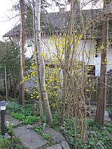 Garten März 2017