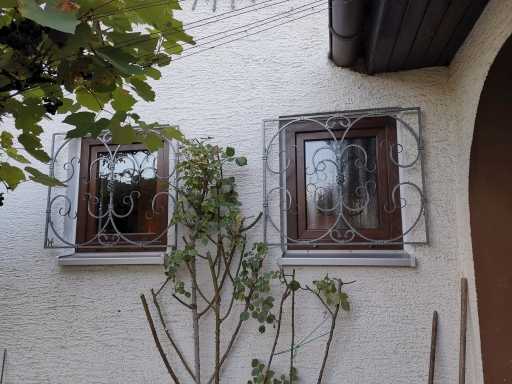 Fenster