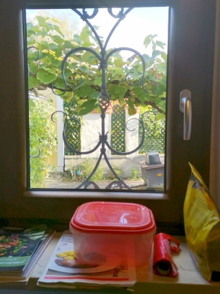 Fenster