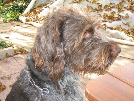 Speicher Bodenisolierung