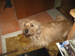 22.01.2018 IMG_4072.jpg