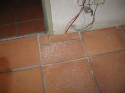 30.01.2018 IMG_4104.jpg